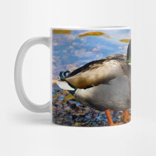 Mallard Duck Mug